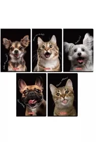 Zeszyt A5/16K kratka kolorowa Animals (20szt) - Zeszyty szkolne - miniaturka - grafika 1