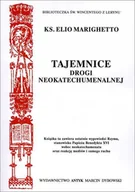 Religia i religioznawstwo - Tajemnice drogi neokatechumenalnej [neokatechumenat] - miniaturka - grafika 1
