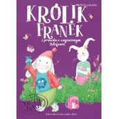 Powieści i opowiadania - KRÓLIK FRANEK I PRAWDA O ZAGINIONYM TELEFONIE Marta Krzemińska - miniaturka - grafika 1