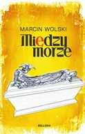 Audiobooki - fantastyka i horror - Międzymorze - miniaturka - grafika 1