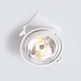 Shilo plafon reflektorek) Sakura B AR111 biały 7251 - Lampy sufitowe - miniaturka - grafika 1
