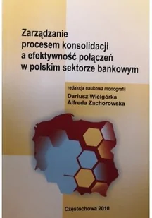 Zarządzanie procesem konsolidacji a efektywność połączeń - Zarządzanie - miniaturka - grafika 1