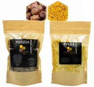 Miód - Zestaw Pierzga Pszczela i Pyłek Pszczeli Kwiatowy Świeży - Na Odporność - miniaturka - grafika 1