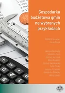 Biznes - Gospodarka budżetowa gmin na wybranych przykładach - Jacek Sierak - ebook - miniaturka - grafika 1