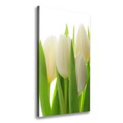 Obrazy i zdjęcia na płótnie - Foto obraz na płótnie pionowy Białe tulipany - miniaturka - grafika 1