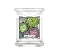 Świece - Kringle Candle Medium Jar Succulents - świeca zapachowa 411 g - miniaturka - grafika 1