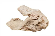 Artykuły masarskie - Kątnica barania extra ca 30 cm - miniaturka - grafika 1