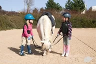 Vouchery - Farma pony Nauka jazdy konnej dla dzieci - miniaturka - grafika 1