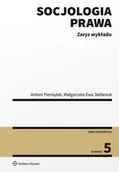 E-booki - prawo - Socjologia prawa. Zarys wykładu - miniaturka - grafika 1