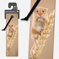 Zakładki do książek - Zakładka 3D 15407 - Mysz - IF - miniaturka - grafika 1
