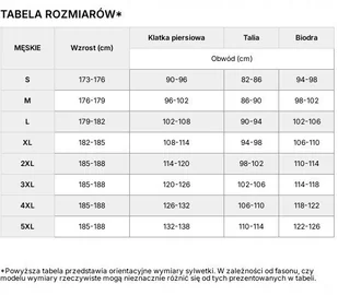 4F MÄSKA TERMOAKTYWNA KOSZULKA SPORTOWA T-SHIRT / rozm XL - Koszulki męskie 4F MÄSKA TERMOAKTYWNA KOSZULKA SPORTOWA T-SHIRT / rozm XL - Koszulki męskie - miniaturka - grafika 1