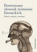 Książki o kulturze i sztuce - Praca zbiorowa Ilustrowany słownik terminów literackich - miniaturka - grafika 1