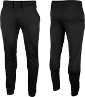 Spodnie sportowe męskie - 4f Spodnie męskie 4F czarne 4FSS23TFTRM167 20S S - miniaturka - grafika 1