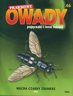 Czasopisma - Prawdziwe Owady Pajęczaki i Inne Robaki Reedycja - miniaturka - grafika 1