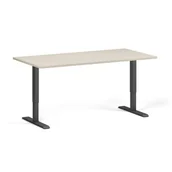Biurka - Stół z regulacją wysokości, 1 silnik, 745 - 1235 mm, blat 1600 x 800 mm, podstawa czarna, brzoza - miniaturka - grafika 1