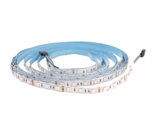 LED RGB Taśma łazienkowa DAISY 5m IP65 - Taśmy LED - miniaturka - grafika 1