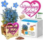 Nasiona i cebule - Zestaw do uprawy Niezapominajka Dzień Kobiet Matki - miniaturka - grafika 1