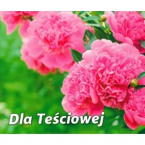 Edycja Świętego Pawła praca zbiorowa Perełka 269. Dla Teściowej - Aforyzmy i sentencje - miniaturka - grafika 1