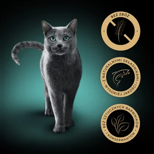 SHEBA Nature’s Collection tacka 22x85 g – mokra karma pełnoporcjowa dla dorosłych kotów, kawałki z łososiem przybranym groszkiem, w sosie - Mokra karma dla kotów - miniaturka - grafika 1