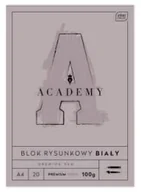 Szkolne artykuły papiernicze - Blok rysunkowy A4 20 k 100g Academy Interdruk - miniaturka - grafika 1