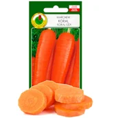 Nasiona i cebule - MARCHEW JADALNA KORAL PLENNA SOK NASIONA BEZ GMO - miniaturka - grafika 1