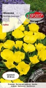 Nasiona i cebule - Nasiona Wiesiołek żółty - Torseed - miniaturka - grafika 1