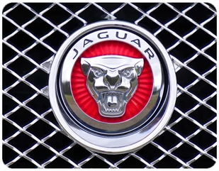 PODKŁADKA POD MYSZKĘ JAGUAR Z IMIENIEM 23x19CM DO LAPTOPA - Podkładki pod mysz - miniaturka - grafika 1