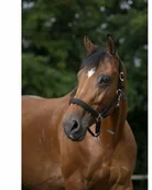 Kantary dla koni - NORTON Kantar NYLON - miniaturka - grafika 1