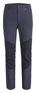Spodnie męskie - ICEPEAK ICEPEAK Męskie spodnie softshell Dorr szary antracytowy 56 657067543IO - grafika 1