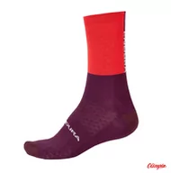 Pozostała odzież dla rowerzystów - Skarpety rowerowe Endura BaaBaa Merino Winter Socks Red/Red - miniaturka - grafika 1