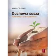 Religia i religioznawstwo - Duchowa susza - mała terapia dla wypalonych - miniaturka - grafika 1