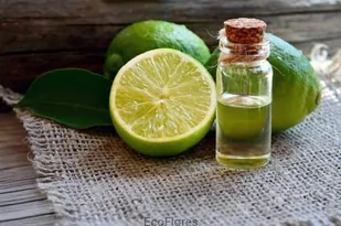 Olejek eteryczny Limetka - Aromaterapia - miniaturka - grafika 1