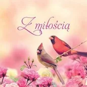 Aforyzmy i sentencje - Z miłością - miniaturka - grafika 1