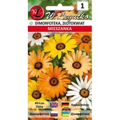 Nasiona i cebule - Dimorfoteka mieszanka W.Legutko - miniaturka - grafika 1