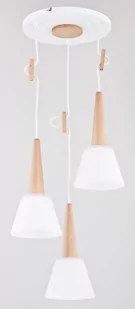 Alfa Lampa wisząca nowoczesna 3pł CELEBES 60167 ALF60167 - Lampy sufitowe - miniaturka - grafika 1