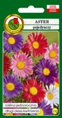 Nasiona i cebule - ASTER POJEDYNCZY MIESZANKA 0,8g - miniaturka - grafika 1