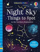 Pozostałe książki - Night Sky Things to Spot - miniaturka - grafika 1