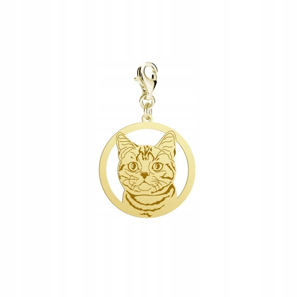 Charms Złoty z Kotem American Shorthair 925 Biżuteria Kobieta DEDYKACJA