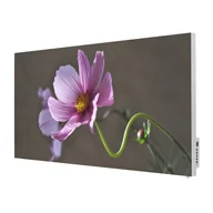 Ogrzewanie przenośne - TERMOFOL Grzejnik na podczerwień z grafiką Kwiat TF-SWT1000P - miniaturka - grafika 1