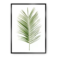 Plakaty - Dekoria Dekoria Plakat Palm Leaf Green 50 x 70 cm Ramka Czarna 222E-000-06 - miniaturka - grafika 1