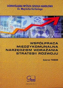 Współpraca międzykomunalna narzędziem wdrażania strategii rozwoju - Zarządzanie - miniaturka - grafika 1