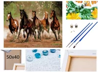 Malowanie po numerach - Malowanie po numerach Obraz Rama Płótno ZESTAW 5w1 DZIKIE KONIE W GALOPIE stado koni - miniaturka - grafika 1