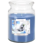 Świece - Świeca zapachowa w szkle SND99 antytabak Bispol - miniaturka - grafika 1