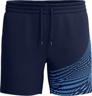 Męskie Szorty Medley Logo 16" Watershort Am rozmiar L - Kąpielówki męskie - miniaturka - grafika 1