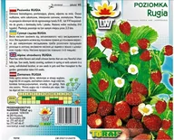 Nasiona i cebule - Toraf WARZYWA Poziomka Rugia nasiona 0,2g 03173 - miniaturka - grafika 1