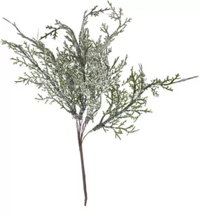 EWAX, Gałązka cyprysik mini 24 cm - Sztuczne kwiaty - miniaturka - grafika 1