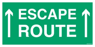 AC065 ESCAPE ROUTE, FS - FOLIA SAMOPRZYLEPNA FOTOLUMINESCENCYJNA; (600X300MM) - Systemy ekspozycyjne i znaki informacyjne - miniaturka - grafika 1