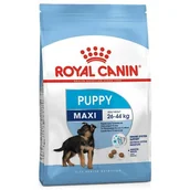 Sucha karma dla psów - Royal Canin Maxi Junior 15 kg - miniaturka - grafika 1