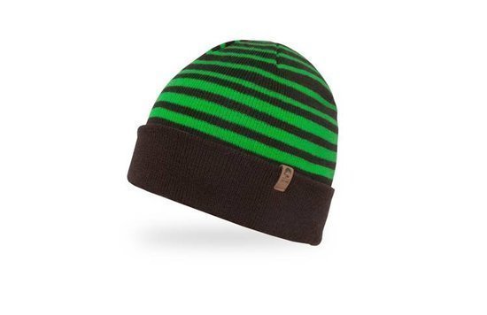 Czapka Sunday Afternoons Horizon Beanie Radiant Green Stripe