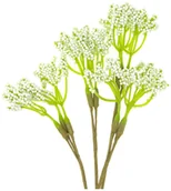 Zabawki kreatywne - Kwiaty Polne, 4 Szt. Écru, Dp Craft - miniaturka - grafika 1